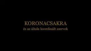 Beszélgetések Árendás László természetgyógyásszal - Koronacsakra és az általa koordinált szervek
