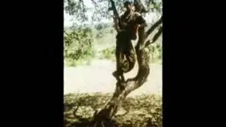 yanyurt FIKRET GOKKAYA 