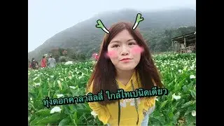 VLOG Taiwan 2018   ไต้หวันคนเดียวก็เที่ยวได้ Part 2 I Liubabywang