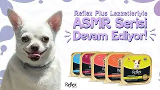 Reflex Plus ASMR | Maya