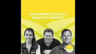 Can Carbon Actually Make you Money?