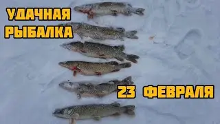 УДАЧНАЯ РЫБАЛКА 23 февраля 🐟 Рыбалка в Тамбовской области 🎣 Рыбалка 68 🎣