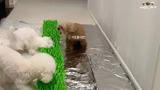 챌린지 도중 미소가 결국...💥(돌발행동)