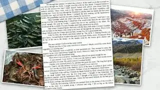 Where the Red Fern Grows 3 - Google Slides