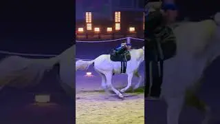 Наурыз Кумай тазы#аңшылық #тазы