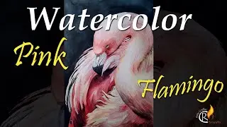 Pink Flamingo – Watercolor process