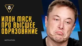 Илон Маск про высшее образование