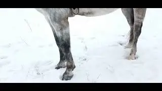 Фрагмент схмеы ВУ