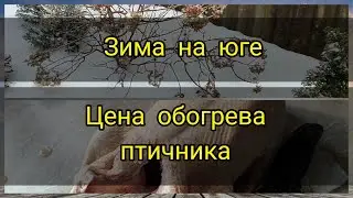 Скучаем ли мы по снегу. Сколько плачу за обогрев курятника. Зимнее меню.