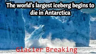Glacier Breaking Viral Video | Biggest Glacier Breaking | Breaking of Glacier