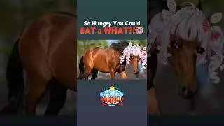 How hungry...?🐴 