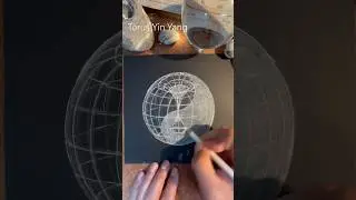 How to draw the Torus Yin Yang. Fast. 