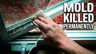 How To Remove Black Mold From Window Sills - Bleach And Kill Mold