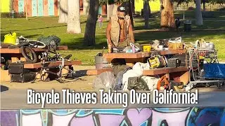 Bicycle Thieves Are Taking Over California!