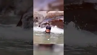 В озеро с полной СНАРЯГОЙ 😵🎣🌊