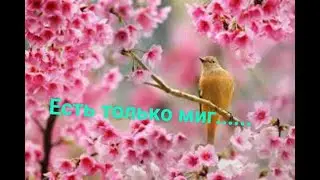Есть только миг......