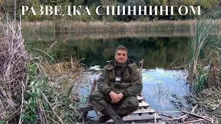 РЫБАЛКА НА РЕКЕ ДОН, ПРИЕХАЛ ЗА ХИЩНИКОМ, А ВСЯ РЕКА В СЕТЯХ ОТ БРАКОНЬЕРОВ!!!