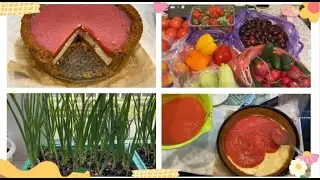 ЧТО КУПИЛА НА РЫНКЕ / ВЫРОС ЛУК НА ПОДОКОННИКЕ / ВКУСНЫЙ ЧИЗКЕЙК