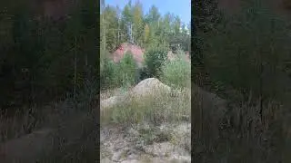 29 августа 2024 г.