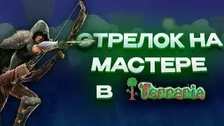 СТРЕЛОК В МАСТЕР МОДЕ | Terraria