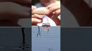 Best Topwater Lure For 2023: American Snakehead Customs Froglet