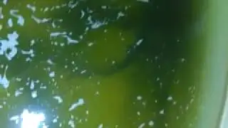 УЗВ