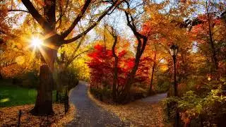 Weston Kenyon - Sunlight (2019 Samsung Galaxy Ringtone Melodic Dubstep Remix)