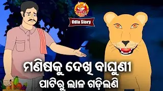 Manisa Ku Dekhi Baghuni Patiru Lala Gadilaniମଣିଷକୁ ଦେଖି ବାଘୁଣୀ ପାଟିରୁ ଲାଳ ଗଡ଼ିଲାଣି | Odia Moral Story