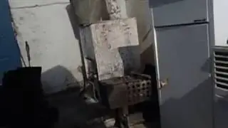 лиса пришла в гости