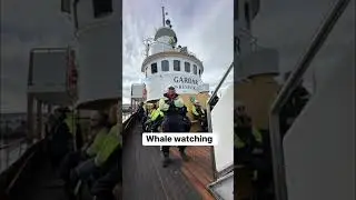 Whale watching