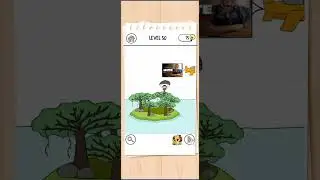 Brain Test 3 Level 50