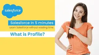 Profile - What is Profile in Salesforce ? | Salesforce Admin Training 