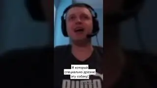 Хозяин и его собака