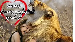 ¡SON MÁS FIELES QUE LAS PERSONAS!❤️¡Estos animales se reencuentran con sus dueños después de años!
