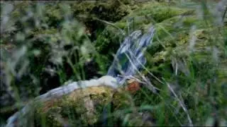 Je reve - Gregory Lemarchal.avi