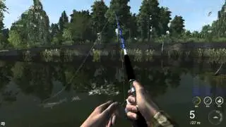 Dynamic Fish Test #1