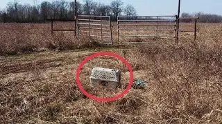 Bikers found a carrier for animals - looking lost the power of speech.