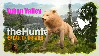 theHunter Call of the Wild™ | Долина Юкона  | прохождение. 4