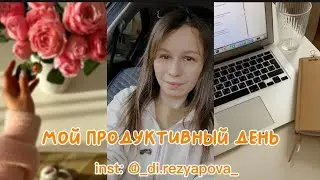 VLOG / Пробуем устрицы / Мой день