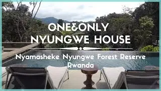 Celestielle #406 One&Only Nyungwe House, Nyamasheke Nyungwe Forest Reserve, Rwanda