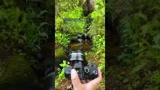 Capturing a Mountain Stream with a RhinoCam Vertex Stitching Adapter #photography