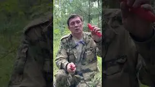 Что за грибы?