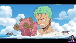 zoro et chopper