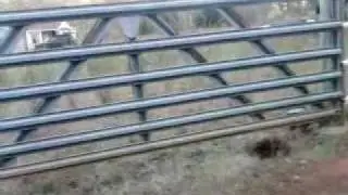 Our new Mighty Mule gate opener.