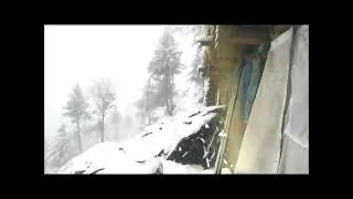 WHITE FOREST, Snow at Kund Forest. KPK. PAKISTAN