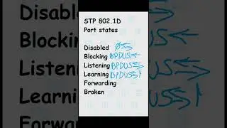 STP Port States