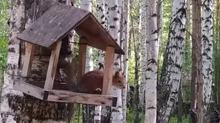 Парк Победы! Выбрались на выходные. Город Екатеринбург