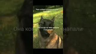 #мем