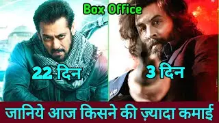 Animal Box Office Collection | Tiger 3 Box Office Collection | Animal Vs Tiger 3, Salman khan,