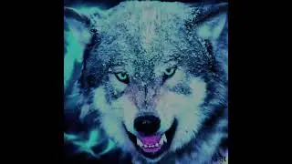 #cool #wolves #edit #template